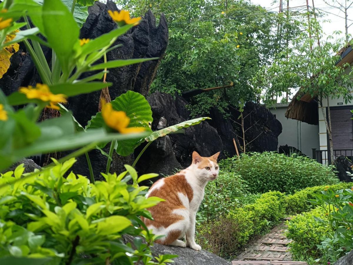 Wings Ha Giang Loop Bungalow Exterior photo